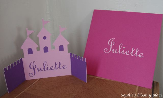 2015 04 19 - Anniversaire Juliette (2)